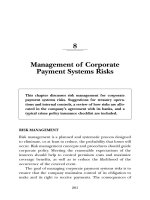 MANAGING THE RISKS OF PAYMENT SYSTEMS CHAPTER 8 pdf