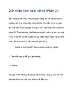 Giới thiệu kiểm soát nội bộ (Phần 2)! ppsx