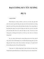 ĐẠI CƯƠNG SUY TỦY XƯƠNG (Kỳ 1) pdf