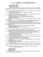 chu de 2: ban than- vui hoi trang ram( GAMN moi)