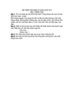 KIỂM TRA ĐỊNH KÌ GIỮA KÌ II