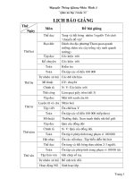 giáo án lớp 3 tuần 33 17/3/2010 CKTKN