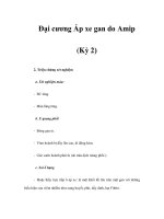 Đại cương Áp xe gan do Amip (Kỳ 2) pptx