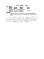 thit ga nuong la chanh ngon tuyet