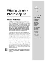 Photoshop 6 for Windows Bible- P4 ppsx