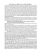 kể chuyện đạo đức Bác Hồ