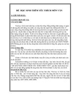 SÁNG KIẾN KINH NGHIỆM MÔN VĂN THPT