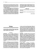 Encyclopedia of World Cultures Volume III - South Asia - B potx