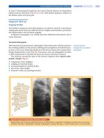 Spinal Disorders: Fundamentals of Diagnosis and Treatment Part 79 docx