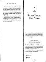 Fibonacci applications and strategies for traders Chapter 6 pptx