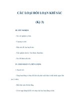 CÁC LOẠI RỐI LOẠN KHÍ SẮC (Kỳ 3) ppsx