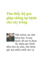 Tìm thấy bộ gen giúp chống lại bệnh cho cây trồng ppt