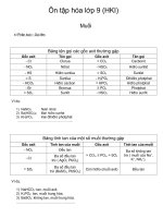 On tap li thuyet hoa hoc 9 HKI