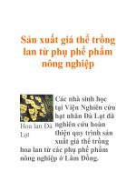 Sản xuất giá thể trồng lan từ phụ phế phẩm nông nghiệp docx