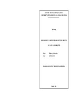 Summary of doctor thesis of engineerin: Research of earth embankment stability on natural ground