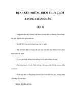 BỆNH GÚT NHỮNG ĐIỂM THEN CHỐT TRONG CHẨN ĐOÁN (Kỳ 1) ppt