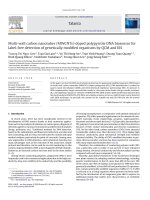 Multi wall carbon nanotubes (MWCNTs) doped polypyrrole DNA biosensor for label free detection of genetically modified organisms by QCM and EIS