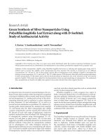 Research ArticleGreen Synthesis of Silver Nanoparticles UsingPolyalthia longifoliaLeaf Extract along with D-Sorbitol:StudyofAntibacterialActivity