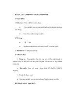 Giáo án Hoá học lớp 9 - AXIT CACBONIC- MUỐI CACBONAT ppt