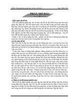 SKKN -TẬP ĐỌC- NĂM 2009-2010