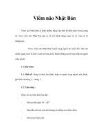 Viêm não Nhật Bản ppsx