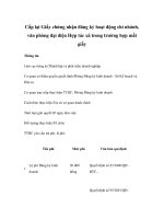 Cấp lại Giấy chứng nhận đăng ký hoạt động chi nhánh, văn phòng đại diện Hợp tác xã trong trường hợp mất giấy pptx