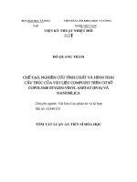 Chế tạo, nghiên cứu tính chất và hình thái cấu trúc của vật liệu compozit trên cơ sở copolyme etylen vinyl axetat (EVA) và nanosilica)  tóm tăt