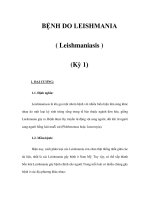 BỆNH DO LEISHMANIA ( Leishmaniasis ) (Kỳ 1) pdf