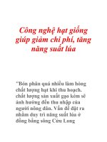 Công nghệ hạt giống giúp giảm chi phí, tăng năng suất lúa doc