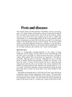 Bees And Honey - Part 9 pps