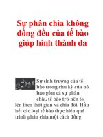 Sự phân chia không đồng đều của tế bào giúp hình thành da ppsx