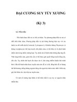 ĐẠI CƯƠNG SUY TỦY XƯƠNG (Kỳ 3) pot