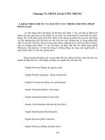 Giáo trình: Côn Trùng Trong Nông Nghiệp - Chương 6 doc