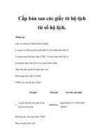 Cấp bản sao các giấy tờ hộ tịch từ sổ hộ tịch. doc