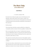 LUYỆN ĐỌC TIẾNG ANH QUA CÁC TÁC PHẨM VĂN HỌC –The Black Tulip ALEXANDRE DUMAS CHAPTER 11 pdf