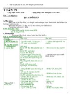 GA L1 TUAN 29 CKTKN(3 COT)