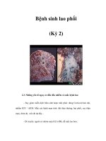 Bệnh sinh lao phổi (Kỳ 2) pps