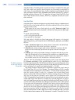 Spinal Disorders: Fundamentals of Diagnosis and Treatment Part 19 pot