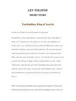 LUYỆN ĐỌC TIẾNG ANH QUA CÁC TÁC PHẨM VĂN HỌC – LEV TOLSTOY- SHORT STORY 8 pptx