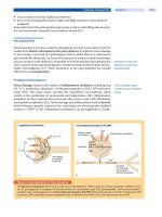 Spinal Disorders: Fundamentals of Diagnosis and Treatment Part 17 docx