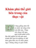 Khám phá thế giới bên trong của thực vật potx