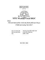 Kế toán thành phẩm và tiêu thụ thành phẩm tại Công ty TNHH môi trường Việt ASIA