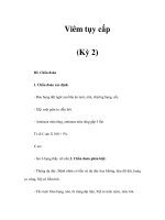 Viêm tụy cấp (Kỳ 2) pps