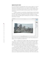 Photoshop Elements 3 Solutions: The Art of Digital Photography- P8 pot