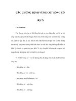 CÁC CHỨNG BỆNH VÙNG CỘT SỐNG CỔ (Kỳ 2) pdf