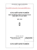 SKKN bai toan chia het cua da thuc.doc