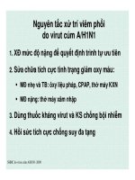 Đặc điểm - Nguyên tắc xử trí viêm phổi và suy hô hấp cấp (Phần 6) pot