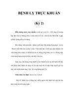 BỆNH LỴ TRỰC KHUẨN (Kỳ 2 pptx