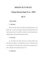 DENGUE XUẤT HUYẾT ( Dengue Haemorrhagic Fever - DHF ) (Kỳ 1) docx