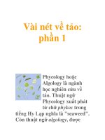 Vài nét về tảo: phần 1 ppsx